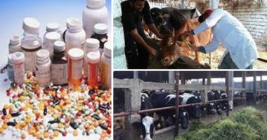 لمواجهة مافيا منتجات بير السلم .. الزراعة تشن حملات مكثفة على مراكز بيع وتداول الأدوية واللقاحات البيطرية والعيادات.. إجراءات قوية لضبط المقلد و"المضروب".. و4 لجان لتتبع مصانع الأعلاف والتأكد من المنتج المطروح