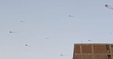 الطائرات الورقية تتحدى الملل فى زمن كورونا وتزين سماء إمبابة.. صور