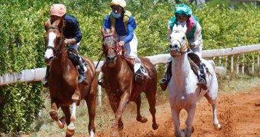 بدون جمهور ومراهنات.. مضمار سباق الخيل فى بيروت يعود للحياة 