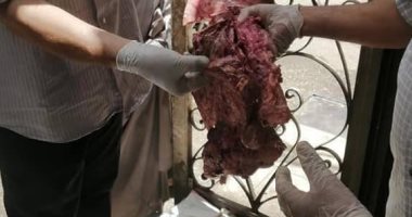 تحرير 207 محضرا تموينيا وضبط 5 طن دقيق قبل بيعه بالسوق السوداء بسوهاج 