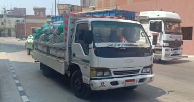 توريد 186.5 ألف طن لقمح المحلى للشون والصوامع بالدقهلية (صور)