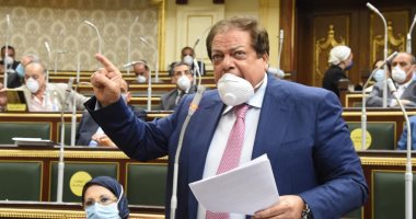 أبو العينين يطالب بالتواصل مع برلمانات العالم لحشد تأييد دولي لمبادرة السيسي لحل الأزمة الليبية