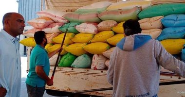 صور .. توريد 173 ألف و981 طن قمح بـ 22 منفذاً بكفر الشيخ