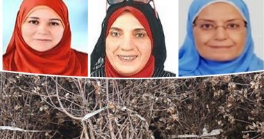 "علماء بلدنا".. "الزراعة": فريق بحثى ينجح باستخلاص منتج طبيعى مقاوم للبكتيريا وإنتاج الضمادات الجراحية من "حطب القطن".."البحوث الزراعية" تطالب متخصصى الفيروسات ببدء اختباره لحماية الأطقم الطبية من فيروس كورونا