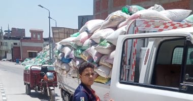 محافظ الدقهلية : توريد 187 ألف طن من محصول القمح لشون وصوامع 