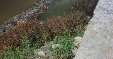 قارئ يشكو وجود مصرف مخالف أمام منزله فى قرية منشأة عزت بالدقهلية