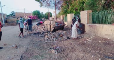 شباب منطقة الشلال بأسوان ينفذون مبادرة لتطهير وتعقيم القرية