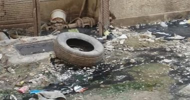 شكوى من انتشار الصرف الصحى فى مساكن الصينين قرية النزل بأسوان