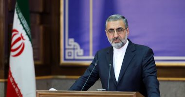 إيران: القبض على 5 إيرانيين بتهمة التجسس فى الأشهر الأخيرة