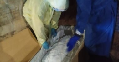 أسرة متوفاه بكورونا فى الغربية تتسلم جثتها بعد دفنها بالخطأ فى كفر الزيات