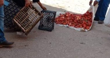 فض سوق محمد محمود بمدينة تلا فى المنوفية منعا للتزاحم بسبب فيروس كورونا 