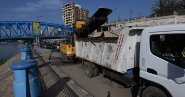 محافظ الدقهلية : رفع 60 طن أتربة فى حملة بالمنطقة المركزية