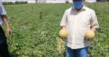 المعمل ‫المركزى لمتبقيات المبيدات ينهى العام الحالى بإنجاز جديد.. التفاصيل