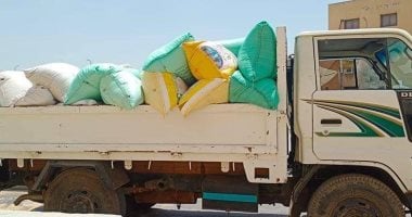 صور.. توريد 175 ألف طن قمح لـ22 منفذاً بكفر الشيخ