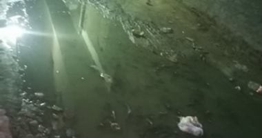 شكوى من سوء الصرف الصحى بشارع سيد مغاورى فى بشتيل ووصوله لكابلات الكهرباء