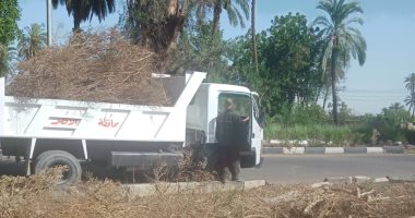 رئيس مدينة البياضية بالأقصر يقود حملة نظافة ورفع 23 طن.. صور