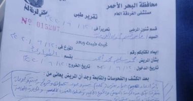 النيابة تقرر إخلاء سبيل ألمانية فى واقعة عقر كلاب ضالة لشاب بالغردقة