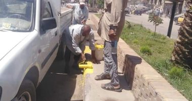 دهانات وتجميل شارع البحر بحى ثان المحلة
