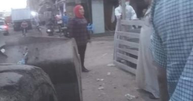 إزالة شوارد ماعز وخراف عشوائية بشارع سكة زفتى بالمحلة