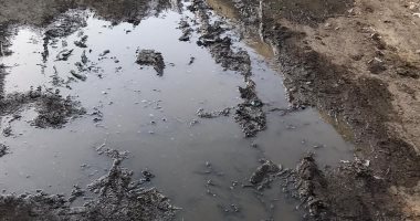 شكوى من غرق قرية دسونس أم دينار بمحافظة البحيرة بالصرف الصحى 