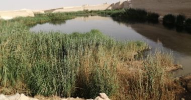 أهالى الحى السابع بمدينة المنيا الجديدة يشكون من مستنقعات الصرف الصحى