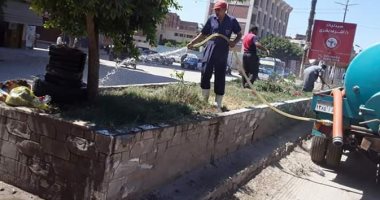 حى أول طنطا ينفذ حملة نظافة وتشجير بشوارع المدينة