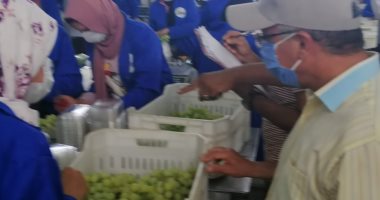 لزيادة الاستثمار والإنتاج.. الزراعة تعلن التوسع بمحطات فرز الخضر والفاكهة بعد نجاح تجربة النوبارية.. تحقيق أعلى عائد للفلاح فى التسويق والتصدير.. رفع كفاءة الأصول بالشراكة مع القطاع الخاص.. ومنع الإستغلال 