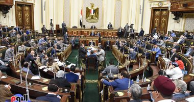 "رئيس النواب" يطالب بحل أزمة نقص الدواء في أسوان ..وعلاء فؤاد: سنتابع الأمر  