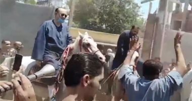 نائب قويسنا: زفة المزمار والحصان جاءت فرحًا من الأهالى بمشروع الصرف الصحى