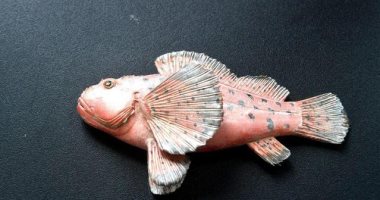 من العجين لأسماك بحرية.. خباز صينى يصنع مخبوزاته بطريقته الخاصه.. صور