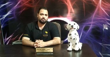 "الإنسانية فى أزهى صورها" طبيب ينقذ حياة حصان بشوارع الغربية