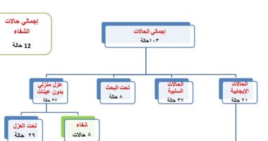 شفاء 12 حالة من فيروس كورونا بشمال سيناء