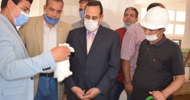 محافظ شمال سيناء : نبذل جهدا لبدء الدراسة بطب العريش العام المقبل
