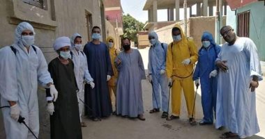 شباب جزيرة المنصورية بأسوان يقومون بحملة تطهير بالجهود الذاتية..صور 