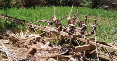 أهالى قرية الحلة بقنا يناشدون تغير الكابلات الهوائية بكابلات أرضية