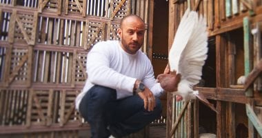أحمد مكى نجح ممثلا ومطربا وطبيبا ينقذ الطيور من الموت.. فى عيد ميلاده