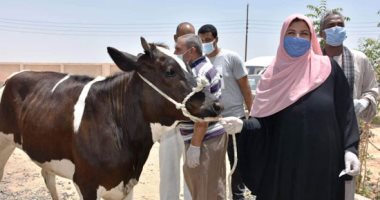 الزراعة: 112 مشروعا صغيرا لتمكين المرأة المعيلة اقتصاديا بكفر الشيخ وبنى سويف