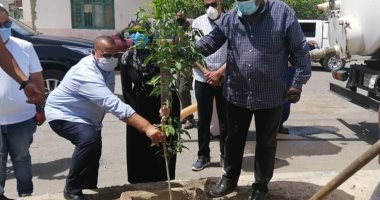 رئيس مدينة سفاجا: نسعى لزيادة المساحة الخضراء بالمدينة
