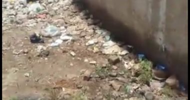 صورة.. تراكم برك مياه الصرف الصحى أمام مساكن الوحدة المحلية بالمنيا