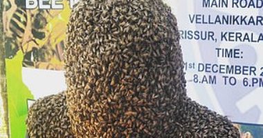 شاب هندى يغطى رأسه بـ60 ألف نحلة.. ويعلق :"أفضل أصدقائى".. صور
