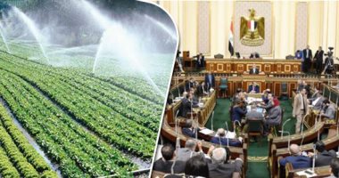 مطالب برلمانية باستنباط سلالات بذور جديدة غير شرهة للمياه وتعطى ضعف الإنتاجية من المحاصيل الاستراتيجية.. "زراعة البرلمان": مركز البحوث عليه دور كبير خلال الفترة المقبلة.. ويجب سرعة الانتهاء من تطوير منظومة الرى