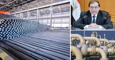 تخفيض سعر الغاز إلى 3 دولارات ومراجعة أسعاره كل 3 أشهر أبرز مطالب المنشآت الصناعية ..محمد الفولى: تخفيض السعر أفضل من فرض رسوم حماية على الواردات.. وسمير نعمان: رفع قيمة الرسوم الجمركية يحد من الإغراق