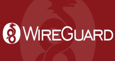 يعني إيه معيار WireGuard لمستخدمى الـ VPN