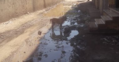 "سيبها علينا".. شكوى من انتشار مياه الصرف الصحى بشارع خالد برعى فى بشتيل