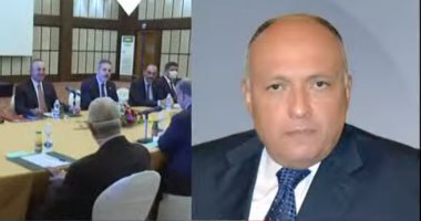 وزير الخارجية: أى تهديد للأمن المصرى والعربى سيلقى ردا مناسبا