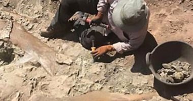 سناء السيد متخصصة فى الحفريات تكشف رحلة الوصول لأهم نساء العالم.. فى لايف اليوم السابع