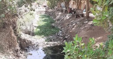 اضبط مخالفة.. أهالى قرية العشى بالأقصر يطالبون بتطهير وتغطية ترعة الصعايدة
