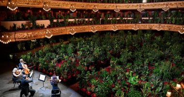 ممنوع دخول الإنسان.. حفل موسيقى على مسرح إسبانى للنباتات فقط
