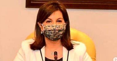 الهجرة تدعو المصريين بالخارج لتسجيل بياناتهم للتصويت بانتخابات الشيوخ عبر البريد