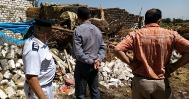 إزالة حالات تعدى على أراضى زراعية ورفع 93 لافتة إعلانية مخالفة بالبحيرة (صور)